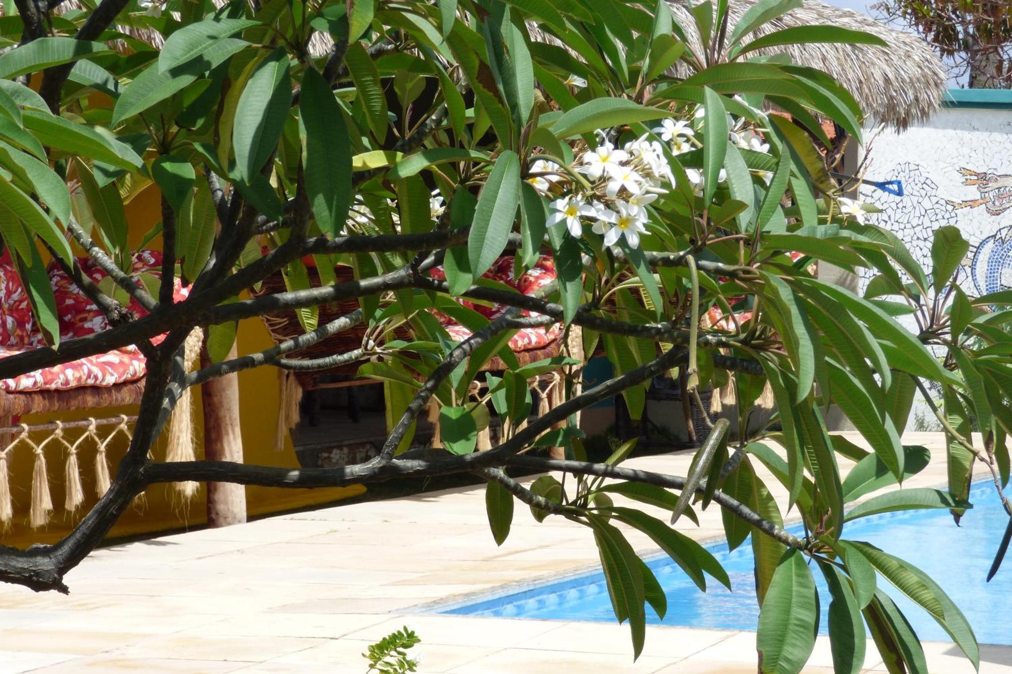Hotel A Toca Do Bem-Te-Vi Águas Belas Zewnętrze zdjęcie